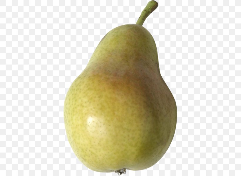 Asian Pear Fruit Salad Clip Art, PNG, 387x600px, Asian Pear, Apple, Cucurbita, Food, Fruit Download Free