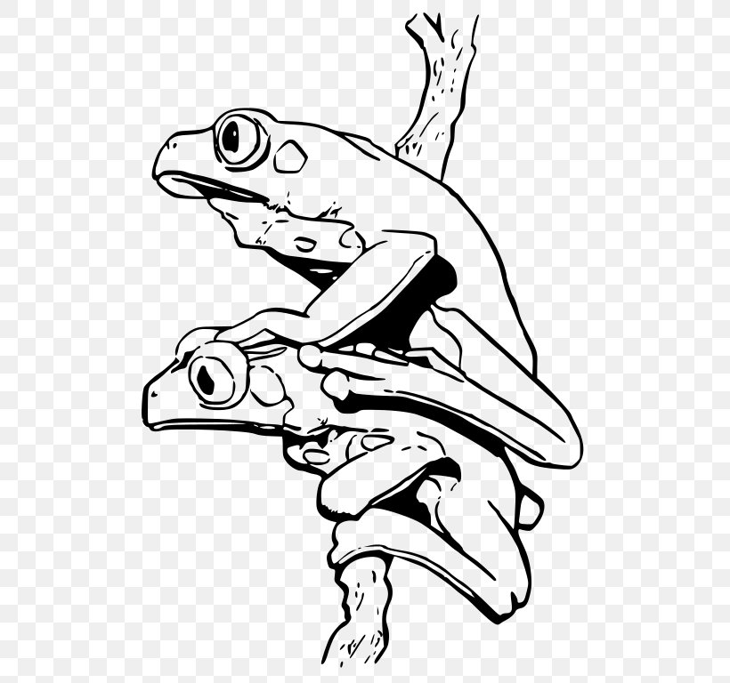 Blue Poison Dart Frog Coloring Book Strawberry Poison-dart Frog Yellow-banded Poison Dart Frog, PNG, 530x768px, Frog, Amphibian, Animal, Arm, Art Download Free