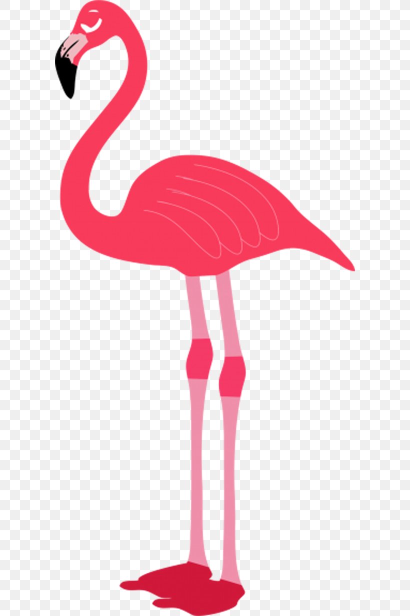 Flamingo Clip Art, PNG, 600x1232px, Flamingo, Beak, Bird, Favicon, Pink Download Free