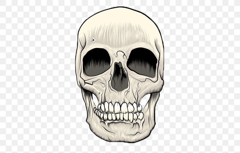 Skull Technical Illustration, PNG, 525x525px, Skull, Art, Bone, Color, Drawing Download Free