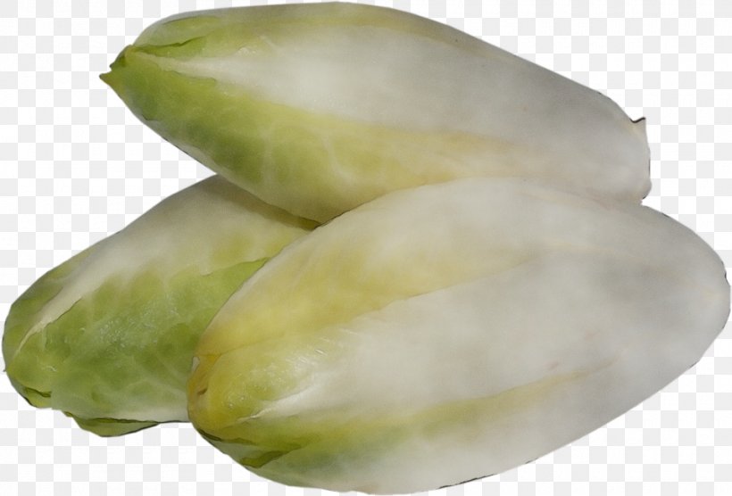 Watercolor Plant, PNG, 960x651px, Watercolor, Chayote, Commodity, Food, Fruit Download Free