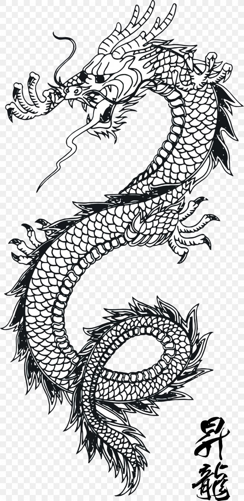 Chinese Dragon Clip Art, PNG, 999x2047px, China, Art, Black And White, Chinese Dragon, Dragon Download Free