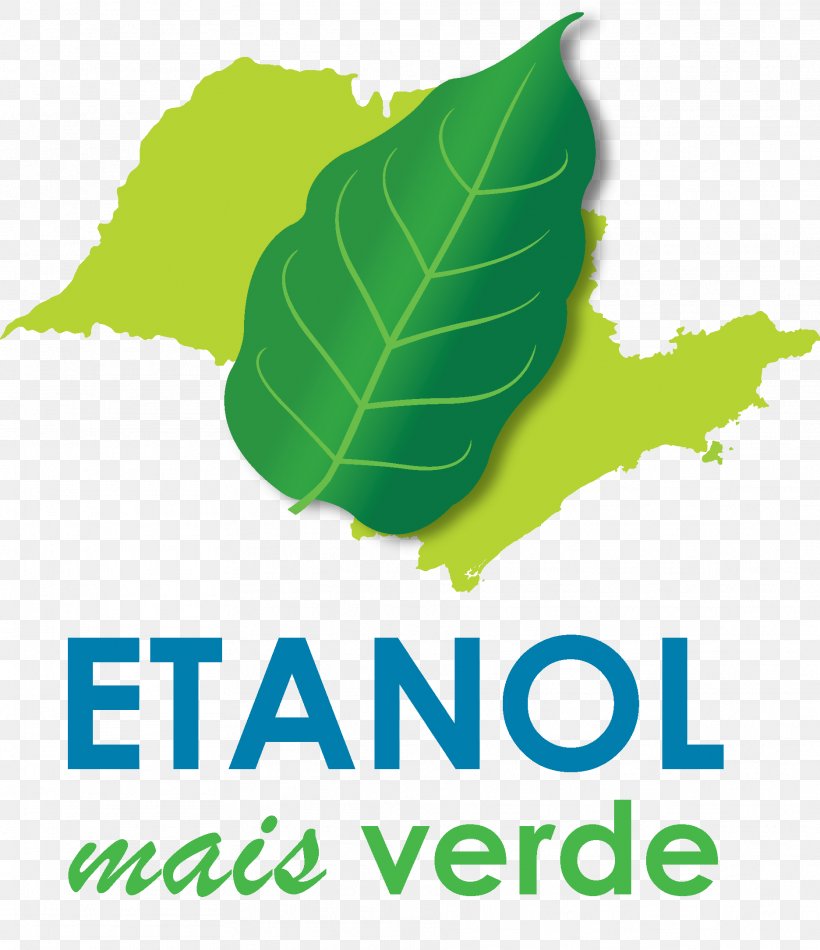 Bahan Bakar Etanol Di Brasil Sugarcane Ethanol Fuel Production Logo, PNG, 1872x2169px, Sugarcane, Agribusiness, Agriculture, Area, Brand Download Free