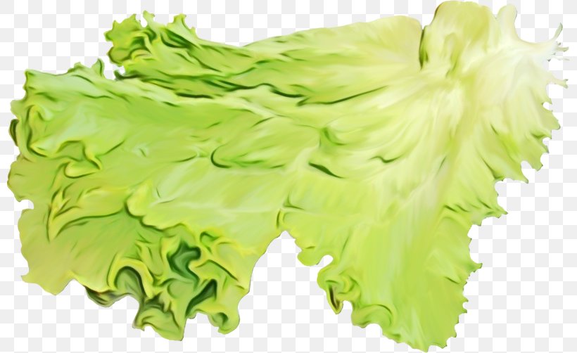 Green Lettuce Leaf Vegetable Plant Vegetable, PNG, 800x502px, Watercolor, Food, Green, Iceburg Lettuce, Leaf Vegetable Download Free