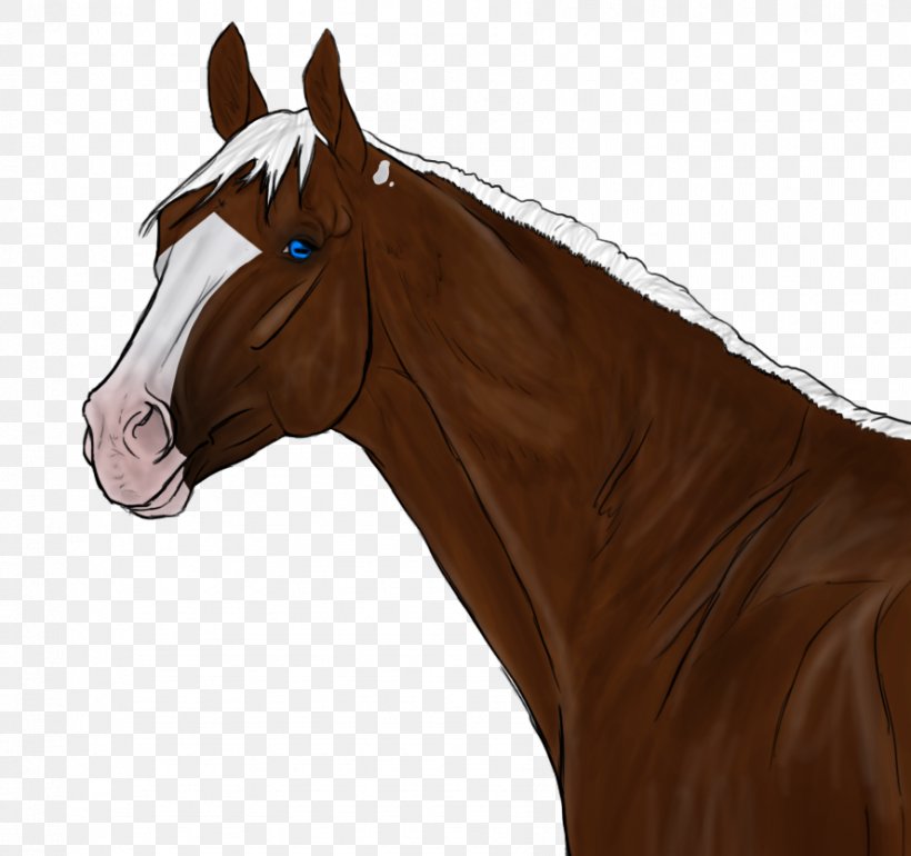 Halter Mane Mustang Horse Harnesses Mare, PNG, 888x834px, Halter, Bridle, Colt, Horse, Horse Grooming Download Free