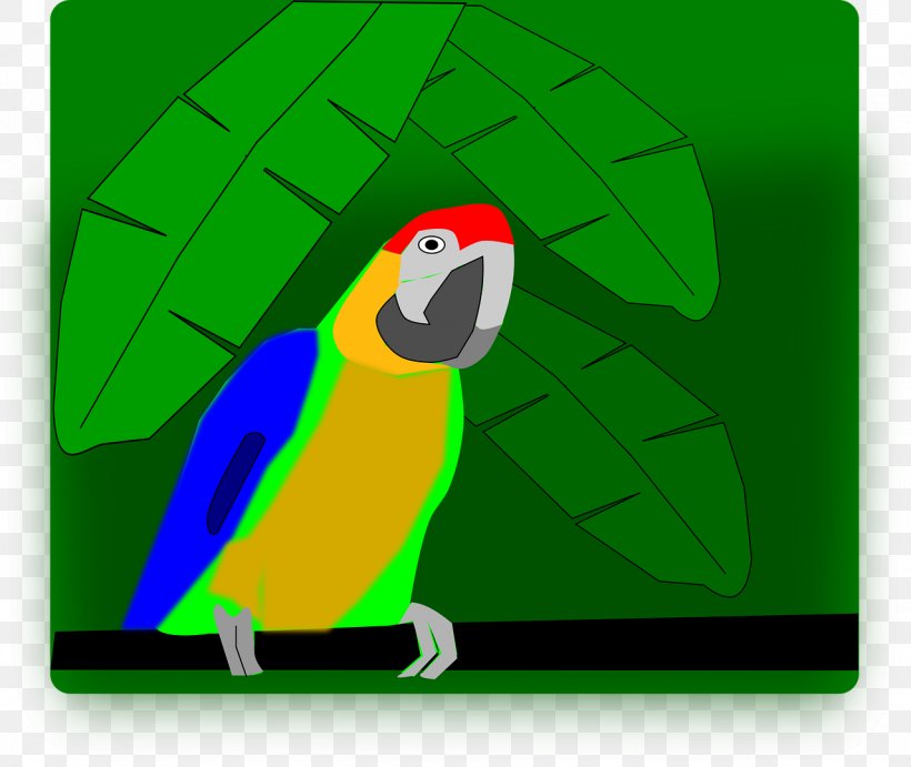 Macaw Parrot Bird, PNG, 1280x1080px, Macaw, Animal, Beak, Bird, Drawing Download Free