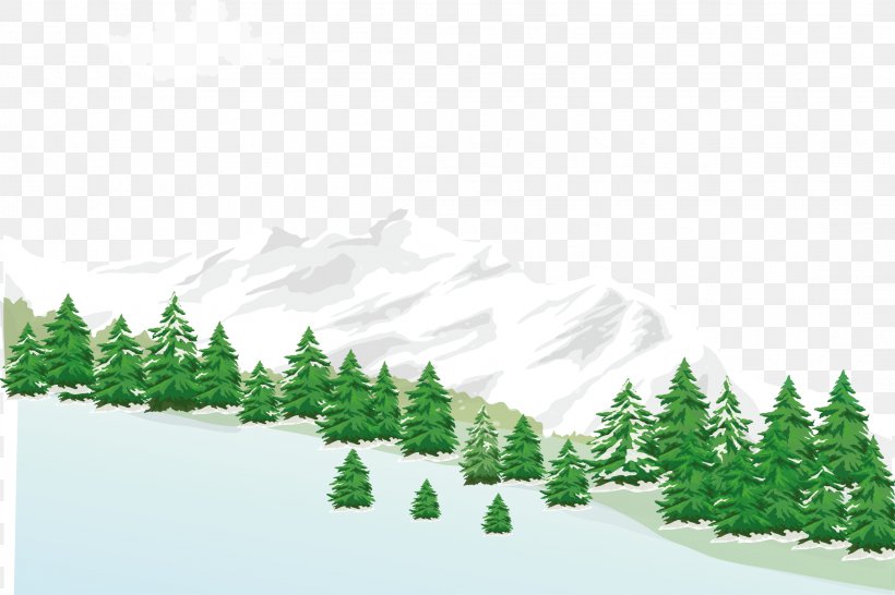 Snowboarding Winter Sport Illustration, PNG, 2291x1527px, Snowboarding, Art, Conifer, Drawing, Fir Download Free