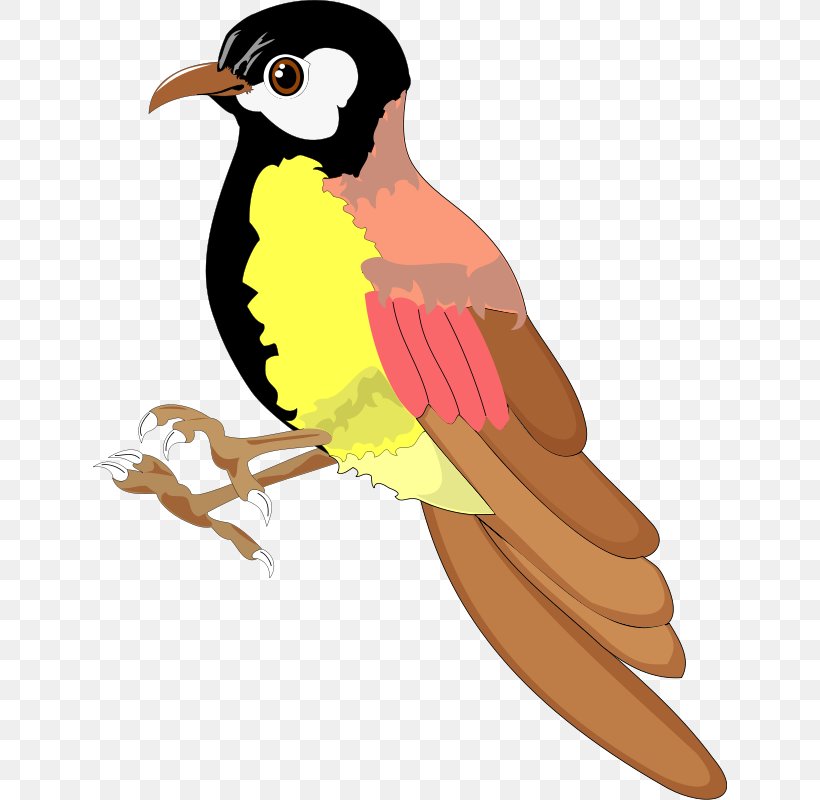 Bird Alouette Download Clip Art, PNG, 634x800px, Bird, Alouette, Beak, Drawing, Fauna Download Free