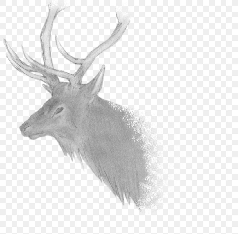 Elk Reindeer Antler Fauna Black, PNG, 800x805px, Elk, Antler, Black, Black And White, Deer Download Free