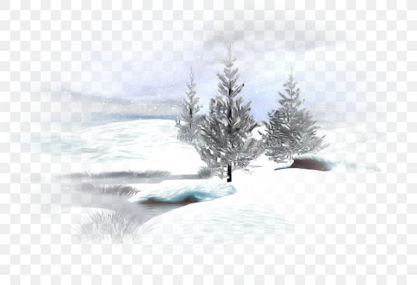 Family Tree Background, PNG, 800x560px, Winter, Animation, Atmospheric Phenomenon, Blizzard, Branch Download Free