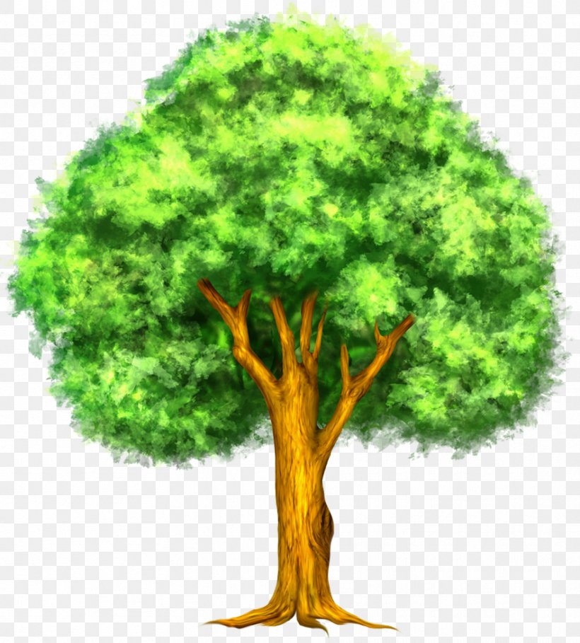 Tree Thumbnail Clip Art, PNG, 884x981px, Tree, Arecaceae, Cartoon, Flowerpot, Free Content Download Free