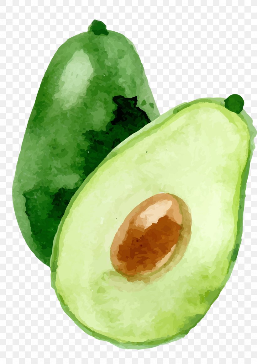 Avocado Watercolor Painting, PNG, 1131x1600px, Watercolor, Cartoon, Flower, Frame, Heart Download Free