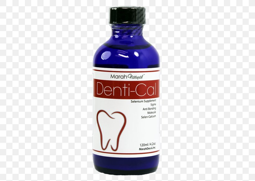 Dentistry Tooth Health Bone Vitamin, PNG, 583x583px, Dentistry, Bone, Calcium, Dentist, Flavor Download Free