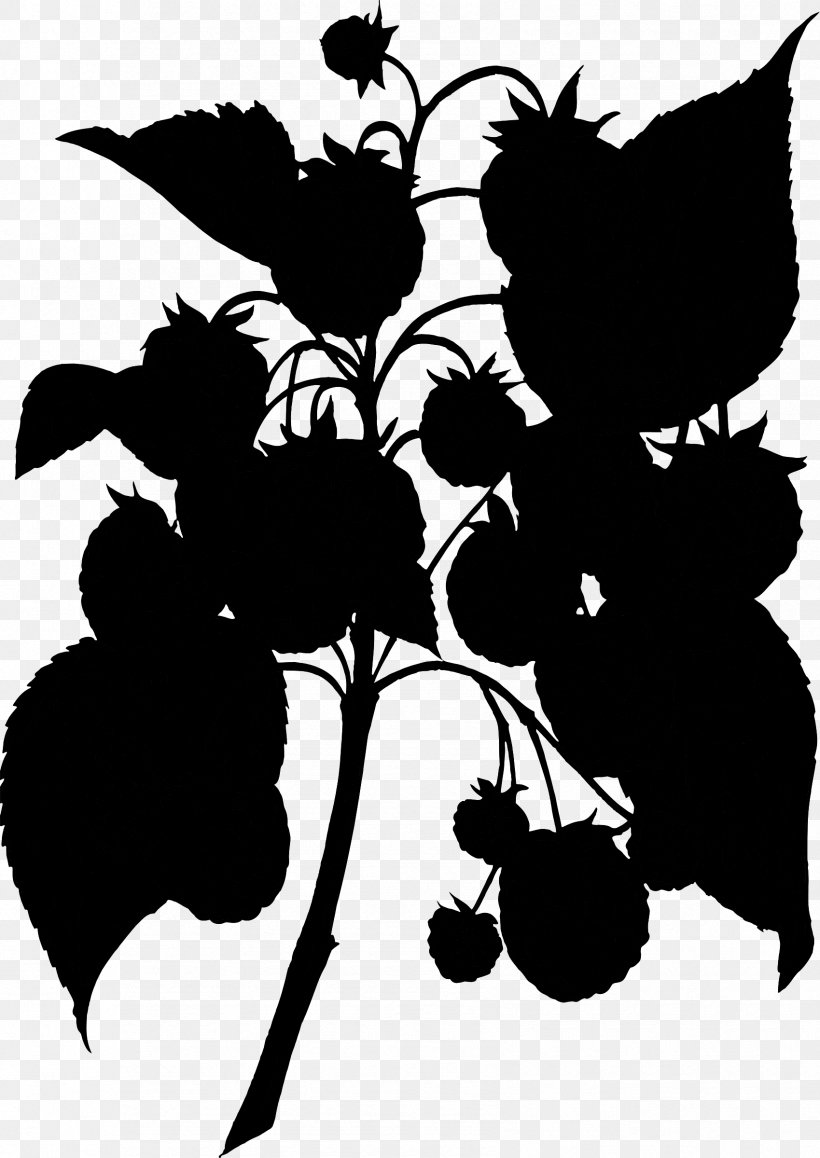 Grape Clip Art Silhouette Pattern Flower, PNG, 1699x2400px, Grape, Berry, Blackandwhite, Botany, Branching Download Free