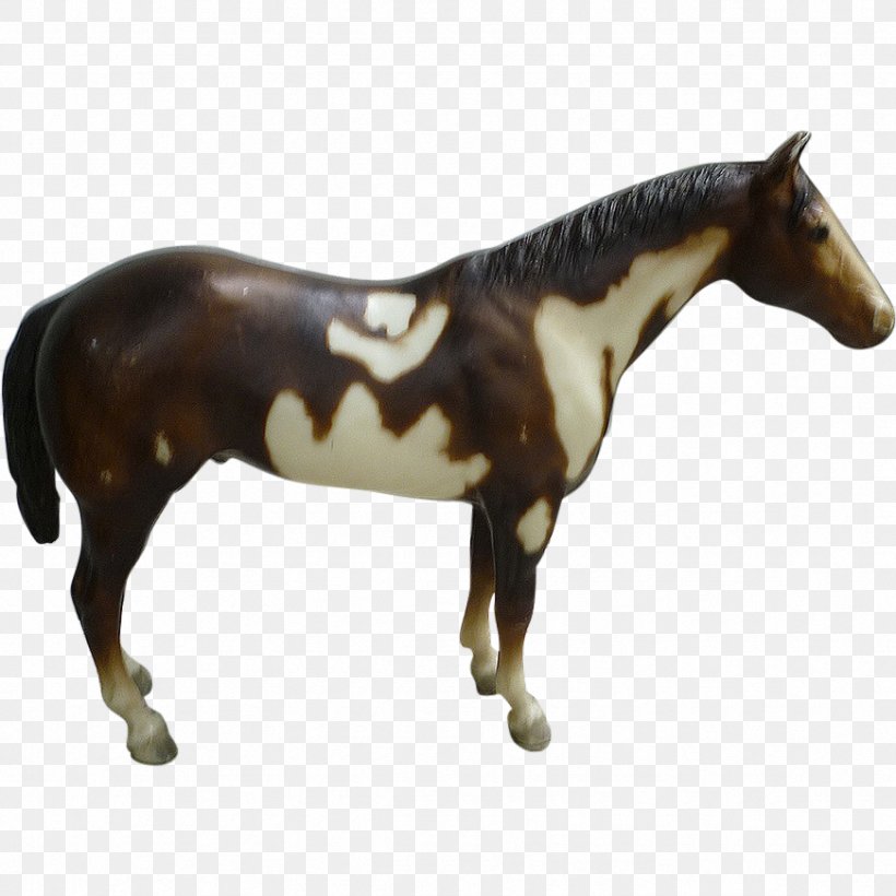 Mustang American Paint Horse Stallion Mare Grullo, PNG, 871x871px, Mustang, American Paint Horse, Animal Figure, Bay, Black Download Free