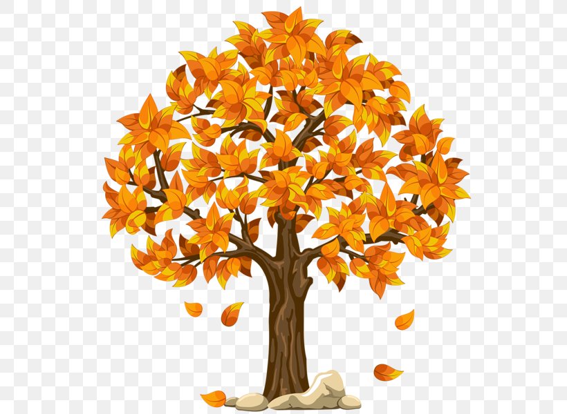 Autumn Tree Clip Art, PNG, 555x600px, Autumn, Autumn Leaf Color, Branch, Cut Flowers, Flower Download Free
