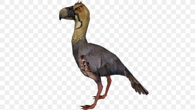Bird Beak Phorusrhacidae Purussaurus Paraphysornis, PNG, 1360x768px, Bird, Animal, Animal Figure, Argentavis Magnificens, Beak Download Free