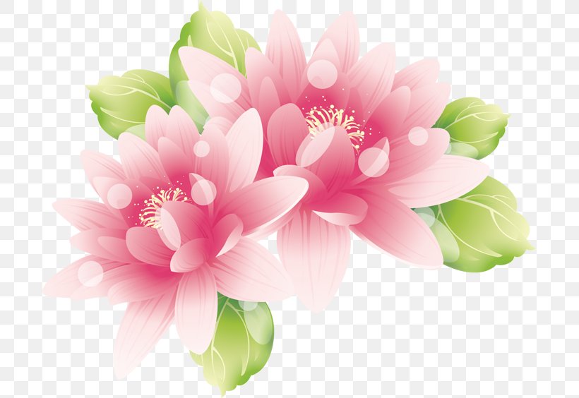 Pink Flowers Wallpaper, PNG, 700x564px, Flower, Annual Plant, Art, Blossom, Cut Flowers Download Free