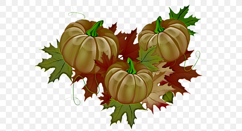Thanksgiving Dinner, PNG, 599x445px, Thanksgiving, Cornucopia, Pilgrim, Pumpkin, Pumpkin Pie Download Free
