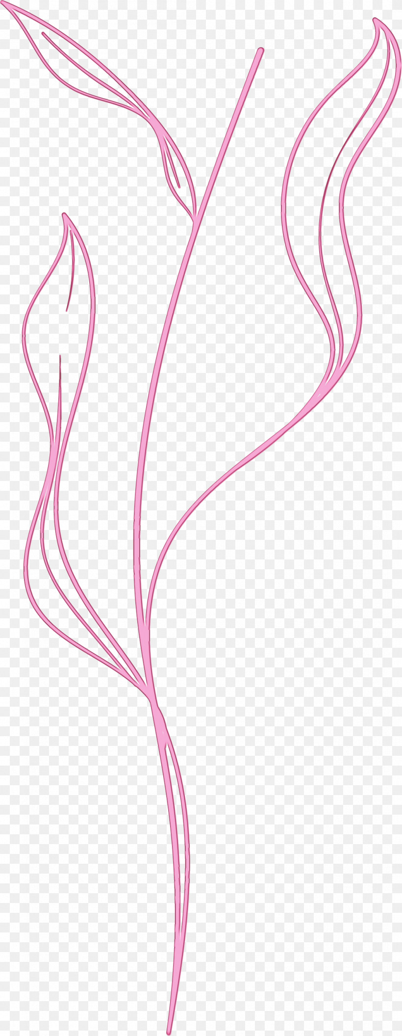 Angle Line Point Pink M Pattern, PNG, 1054x2714px, Simple Leaf, Angle, Area, Line, Meter Download Free