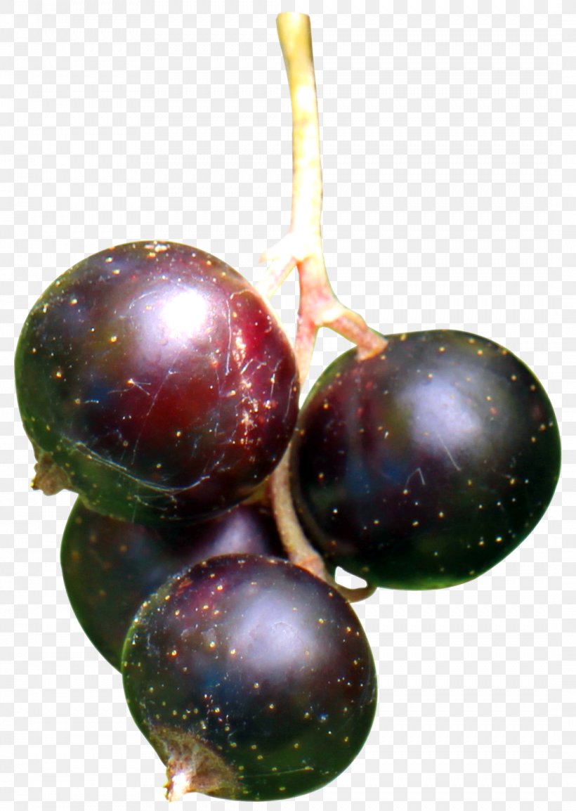 Blackcurrant Frutti Di Bosco Grape Fruit, PNG, 1066x1501px, Blackcurrant, Apple, Cake, Christmas Ornament, Currant Download Free