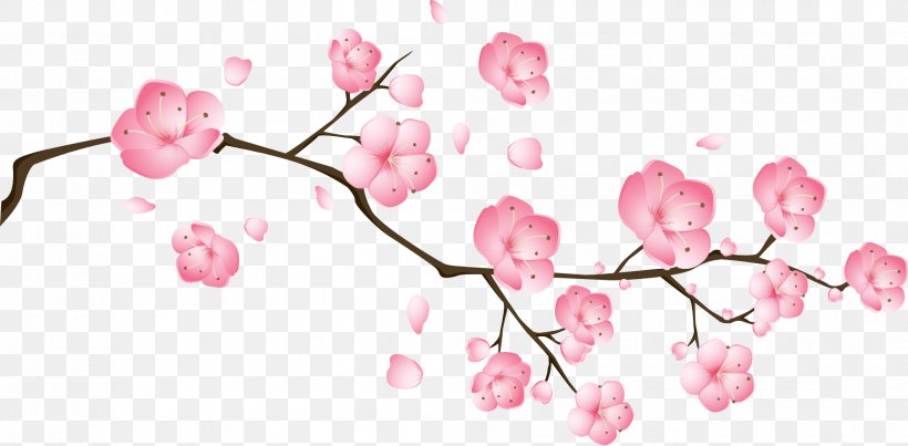 Blossom Pink Drawing, PNG, 1985x977px, Blossom, Branch, Cherry Blossom, Dessin Animxe9, Drawing Download Free