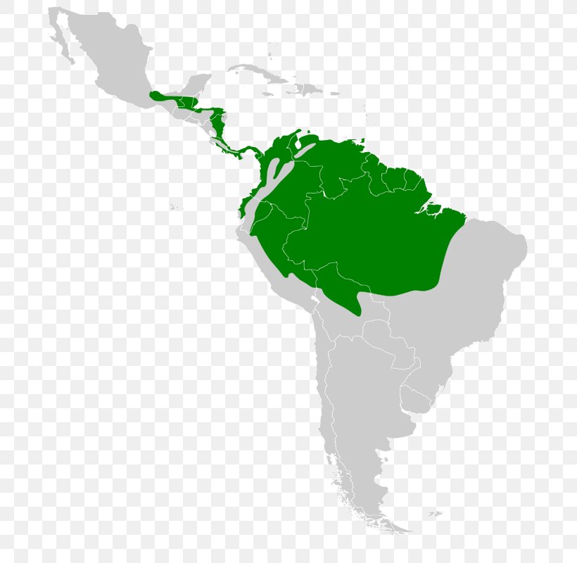 Latin America South America United States Cultural Region, PNG, 740x800px, Latin America, Americas, Central America, Country, Cultural Region Download Free