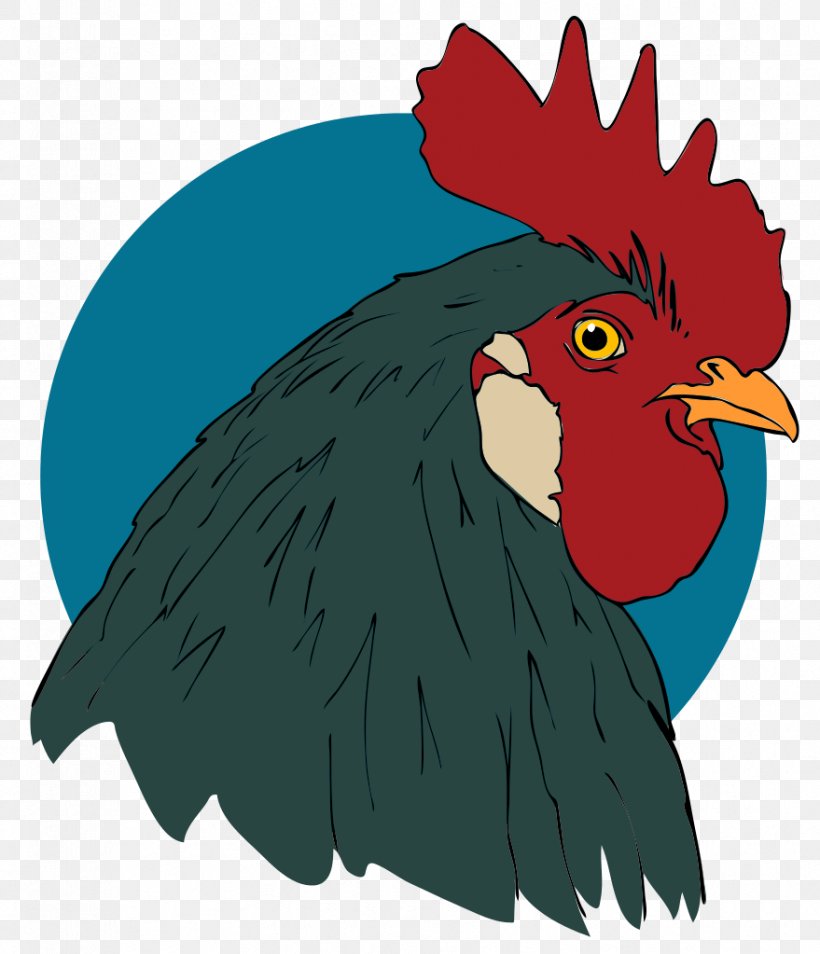 Rooster Drawing Turkey Animation Clip Art, PNG, 879x1023px, Rooster, Animation, Art, Beak, Bird Download Free