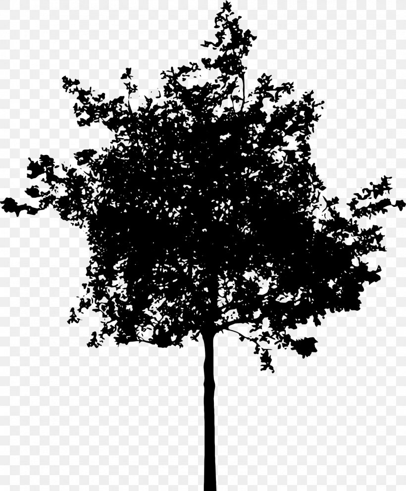 Silhouette Clip Art, PNG, 1587x1920px, Silhouette, Autocad Dxf, Black And White, Branch, Leaf Download Free