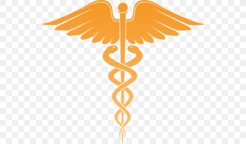 Staff Of Hermes Medicine Health Care Physician Healthcare Industry, PNG, 539x480px, Staff Of Hermes, Caduceus As A Symbol Of Medicine, Fictional Character, Health, Health Care Download Free