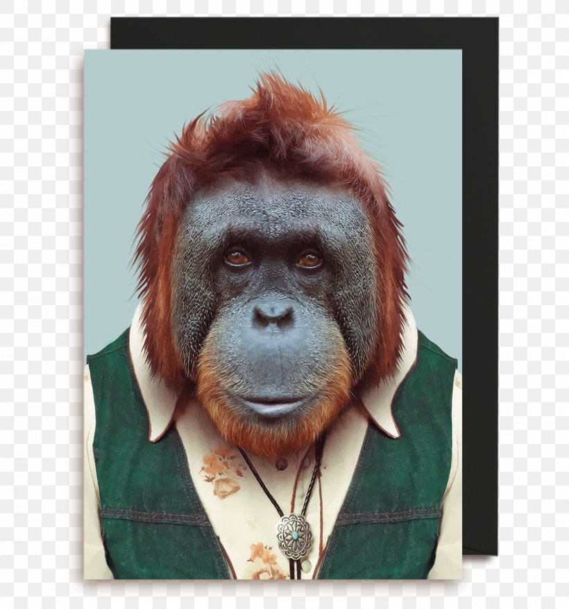 Zoo Portraits Bornean Orangutan Photography Animal, PNG, 1400x1500px, Zoo Portraits, Animal, Art, Artist, Bornean Orangutan Download Free