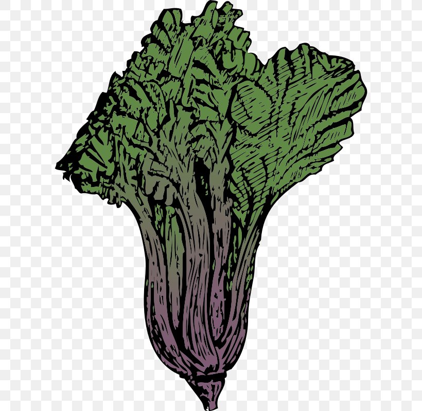 Chard Clip Art, PNG, 800x800px, Chard, Food, Leaf, Leaf Vegetable, Organism Download Free