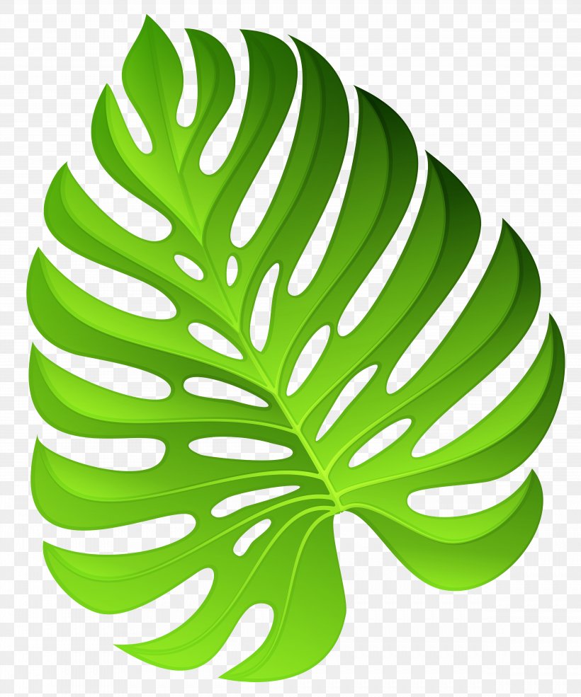 Flowering Plant Clip Art, PNG, 4879x5865px, Plant, Areca Palm, Fern, Flower, Flowering Plant Download Free