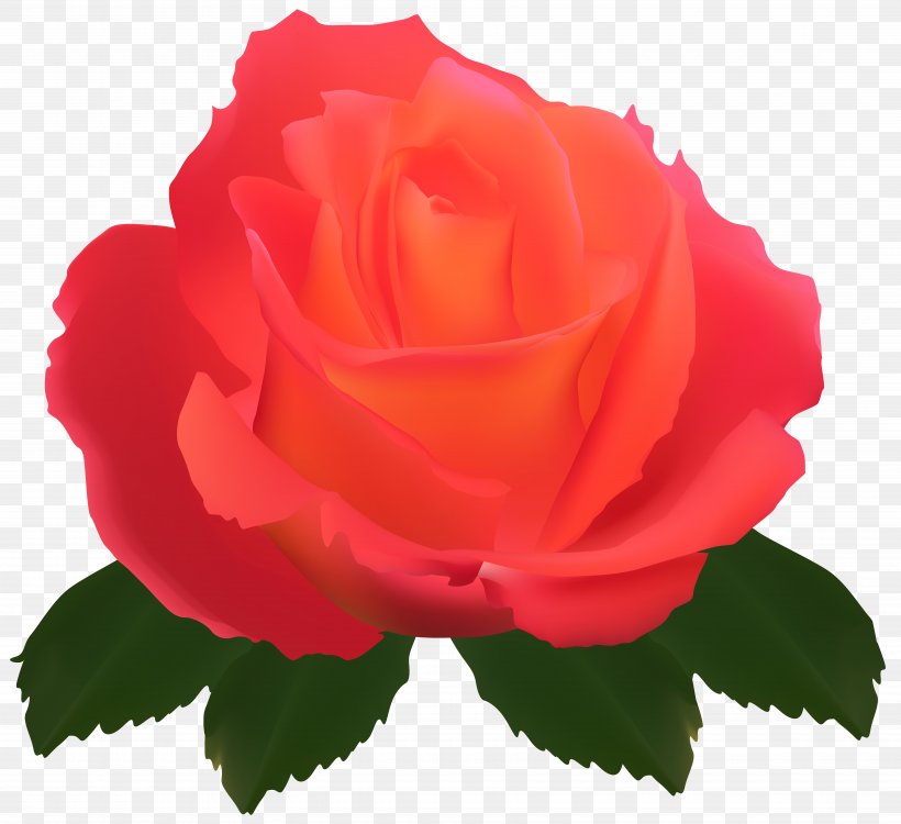 Garden Roses Centifolia Roses Flower Rose Garden, PNG, 7000x6406px, Centifolia Roses, Annual Plant, China Rose, Cut Flowers, Floribunda Download Free