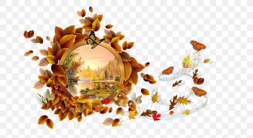 Picture Frames Photography Android, PNG, 669x450px, Picture Frames, Android, Autumn, Autumn Leaf Color, Camera Download Free