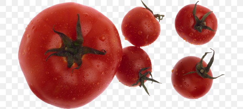 Plum Tomato Bush Tomato Tomato Soup Food, PNG, 698x367px, Plum Tomato, Acerola, Acerola Family, Apple, Bush Tomato Download Free