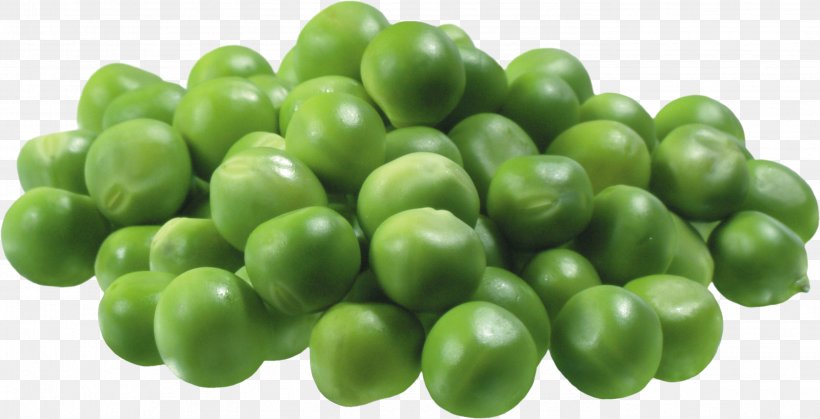 Snow Pea Vegetable Pea Soup Clip Art, PNG, 2786x1426px, Peas And Beans, Bean, Black Peas, Food, Fruit Download Free