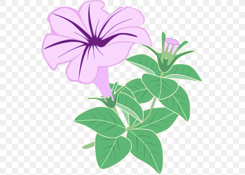 Flowering Plant Graphics Floral Design Purple, PNG, 542x584px, Flowering Plant, Flora, Floral Design, Flower, Herbaceous Plant Download Free