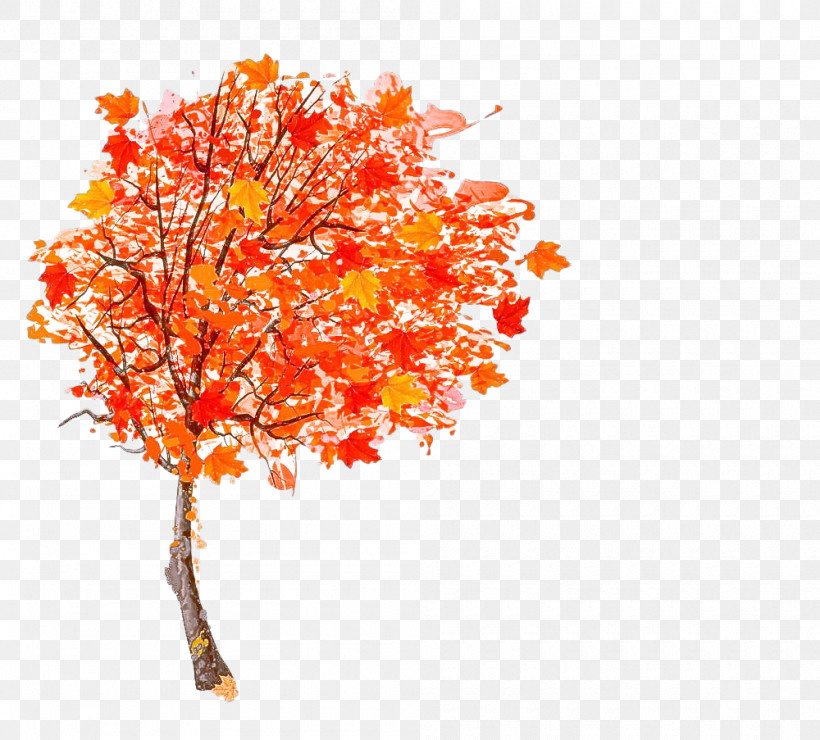 Orange, PNG, 1000x903px, Tree, Autumn, Branch, Flower, Leaf Download Free