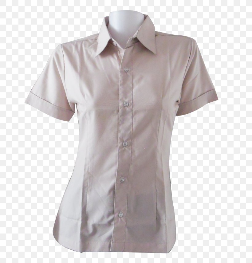 Blouse Dress Shirt Collar Sleeve Neck, PNG, 660x856px, Blouse, Barnes Noble, Button, Clothing, Collar Download Free