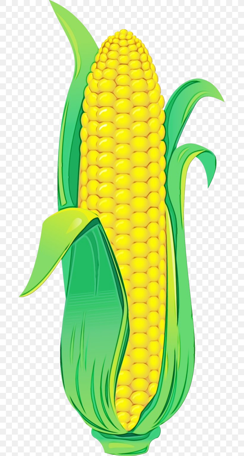 Corn On The Cob Corn Green Yellow Sweet Corn, PNG, 691x1532px, Watercolor, Corn, Corn On The Cob, Footwear, Green Download Free