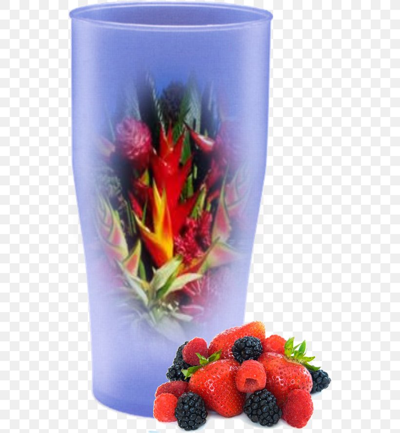 Flowerpot Plant Tropics Fruit, PNG, 540x888px, Flowerpot, Fruit, Plant, Superfood, Tropics Download Free