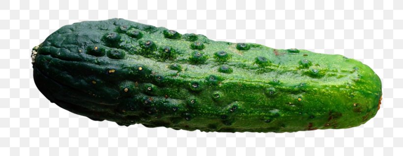 Pickled Cucumber Vegetable, PNG, 800x318px, Pickled Cucumber, Cucumber, Cucumber Gourd And Melon Family, Cucumis, Food Download Free