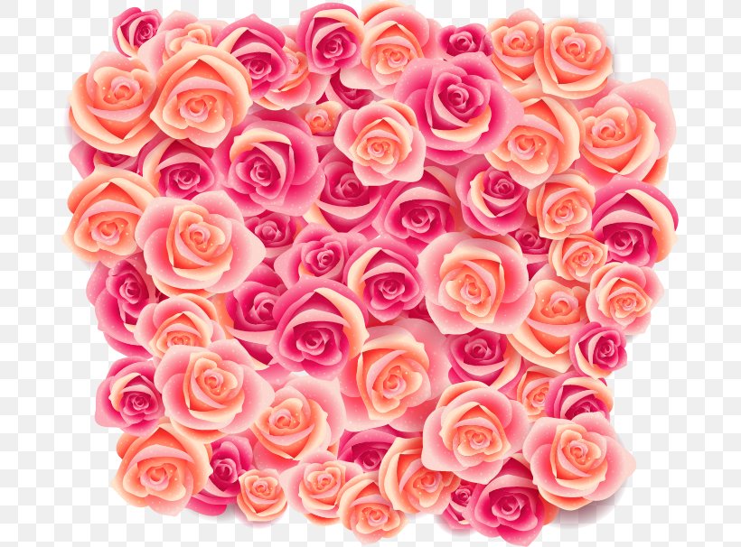 Beach Rose Rosa Pisocarpa Wallpaper, PNG, 683x606px, Beach Rose, Cut Flowers, Floral Design, Floribunda, Floristry Download Free