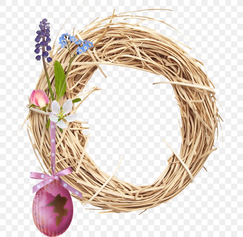 Bird Nest Feather Peafowl, PNG, 690x800px, Bird Nest, Bird, Citation, Decoupage, Drawing Download Free