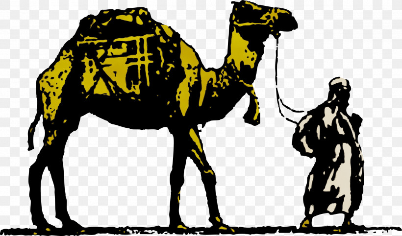 Camel Camelid Arabian Camel Bactrian Camel Adaptation, PNG, 2400x1412px, Watercolor, Adaptation, Arabian Camel, Bactrian Camel, Camel Download Free
