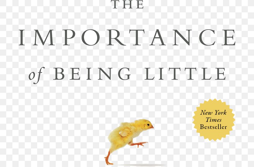 The Importance Of Being Little Amazon.com Book Einstein Never Used Flash Cards: How Our Children Really Learn--and Why They Need To Play More And Memorize Less, PNG, 700x540px, 2016, Amazoncom, Author, Beak, Book Download Free