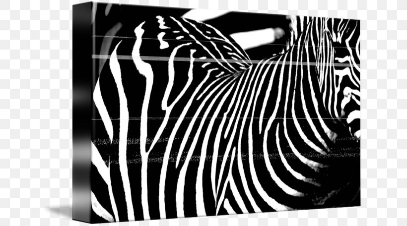 Zebra Brand Photography, PNG, 650x456px, Zebra, Black, Black And White, Black M, Brand Download Free