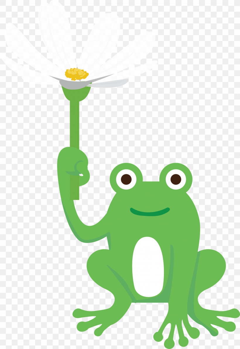 Frogs Tree Frog Cartoon Green Meter, PNG, 2063x3000px, Frog, Biology, Cartoon, Frogs, Green Download Free