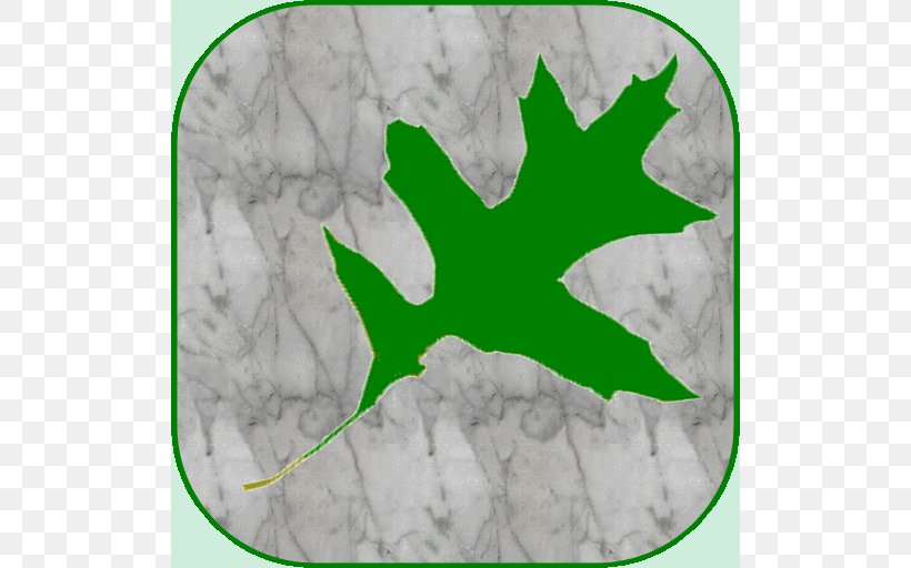 Leaf Green Tree Font, PNG, 512x512px, Leaf, Grass, Green, Organism, Plant Download Free